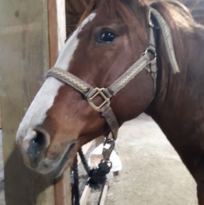 Meet your Posher, Andrea